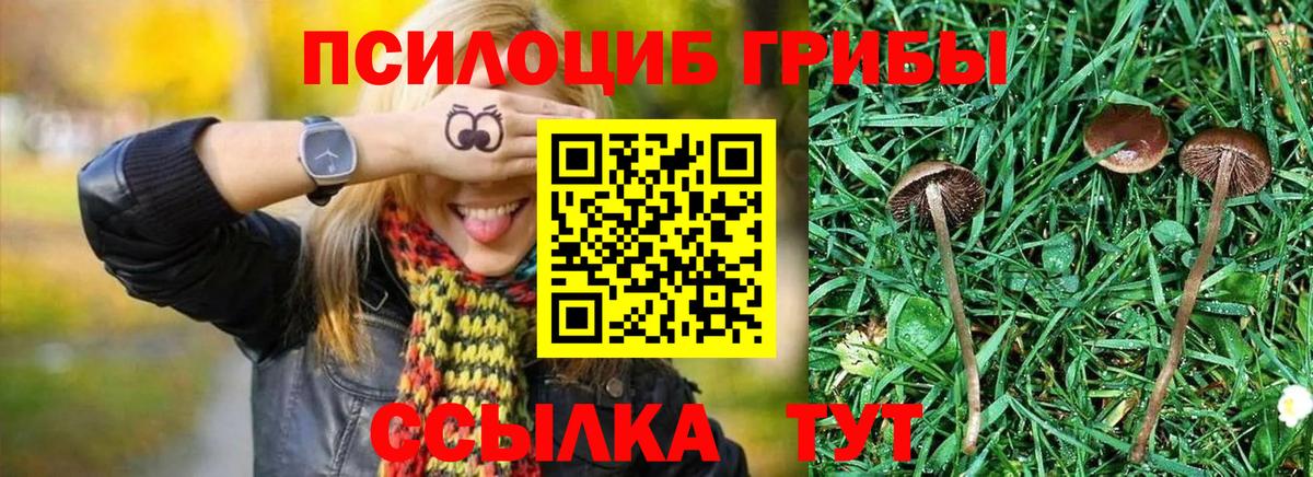 Галлюциногенные грибы MAGIC MUSHROOMS Белово