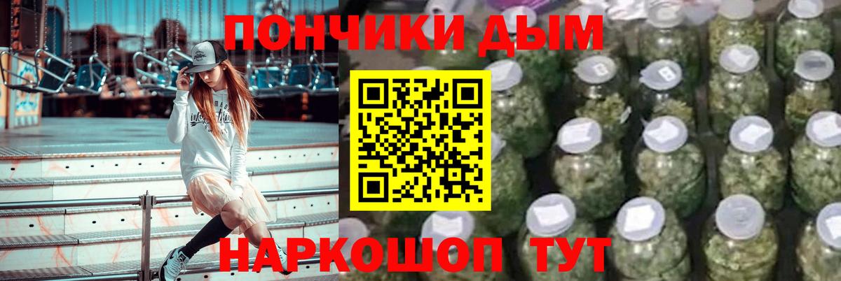 Конопля сатива Белово